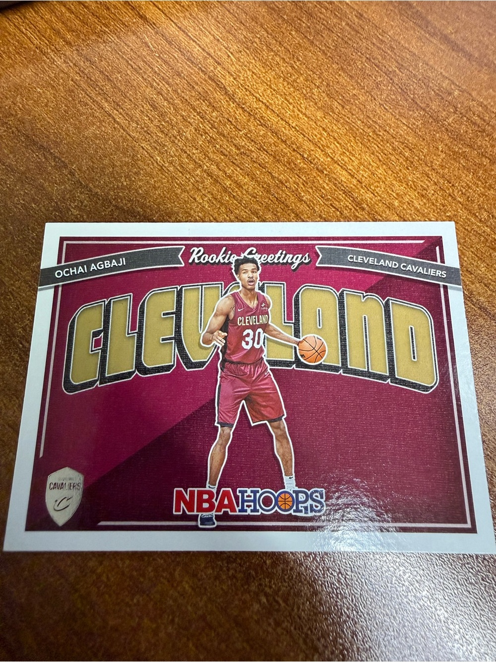 Panini NBA Hoops Cleveland Card - Maroon & Gold